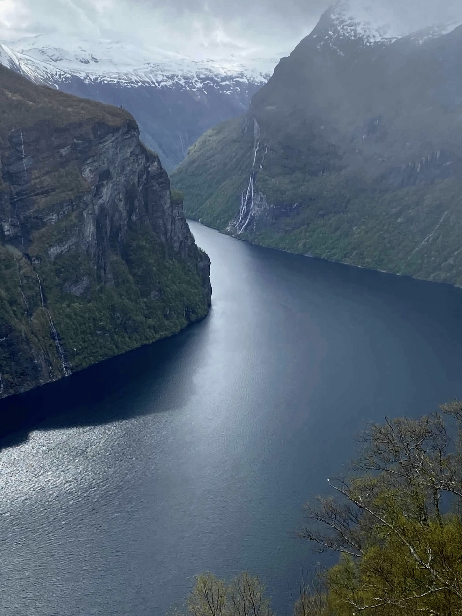 Norwegian Fjord